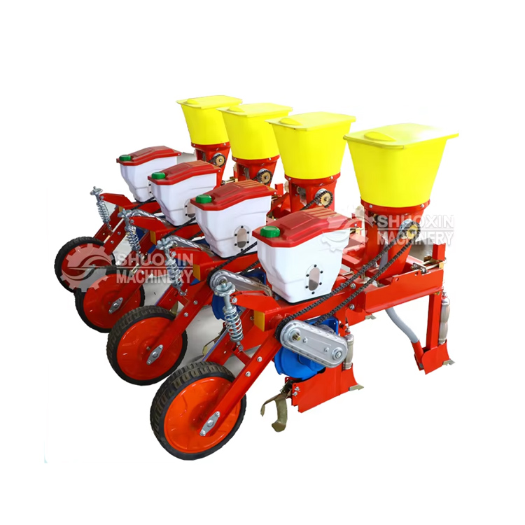 Majsfrøplanter